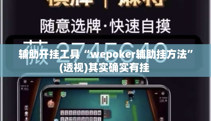 辅助开挂工具“wepoker辅助挂方法	”(透视)其实确实有挂 