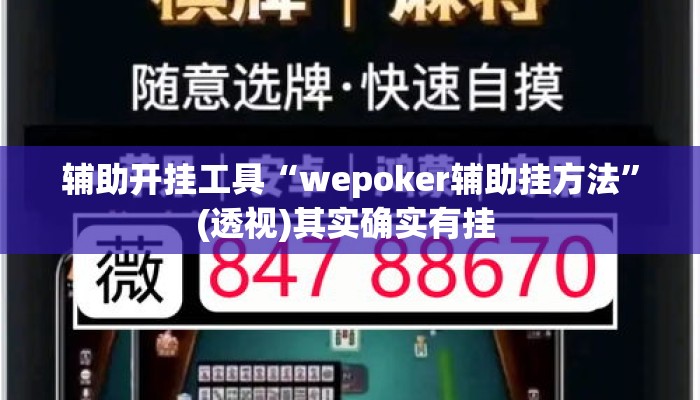 辅助开挂工具“wepoker辅助挂方法”(透视)其实确实有挂 