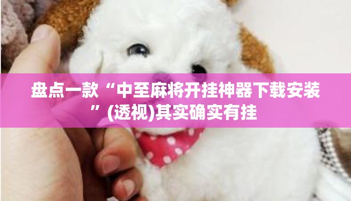 盘点一款“中至麻将开挂神器下载安装	”(透视)其实确实有挂 