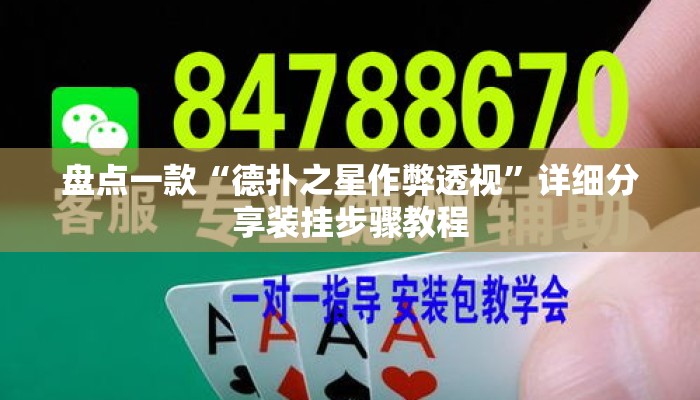 盘点一款“德扑之星作弊透视”详细分享装挂步骤教程