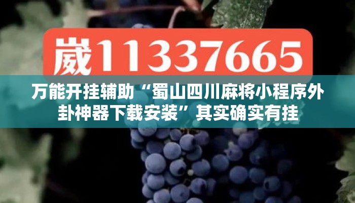 万能开挂辅助“蜀山四川麻将小程序外卦神器下载安装”其实确实有挂