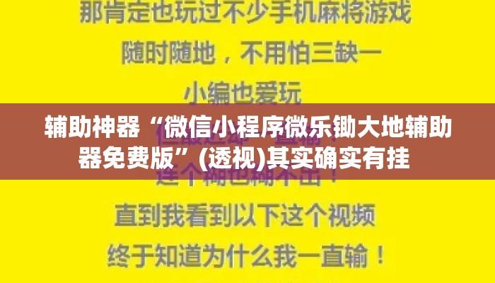 辅助神器“微信小程序微乐锄大地辅助器免费版”(透视)其实确实有挂 