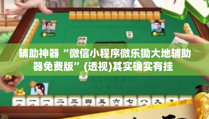 辅助神器“微信小程序微乐锄大地辅助器免费版”(透视)其实确实有挂 