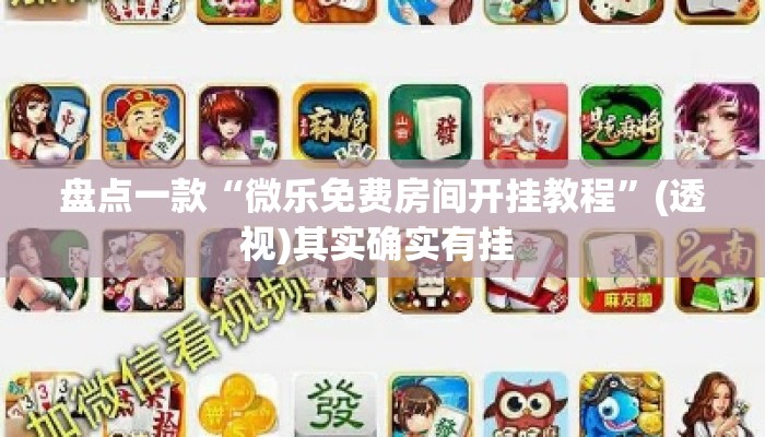 盘点一款“微乐免费房间开挂教程	”(透视)其实确实有挂 