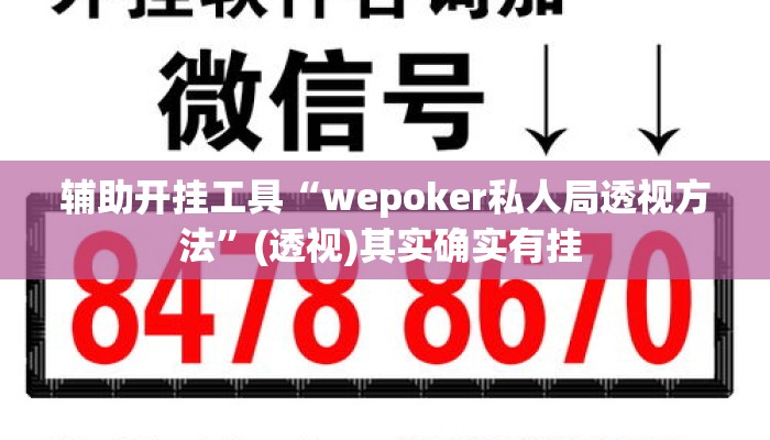 辅助开挂工具“wepoker私人局透视方法”(透视)其实确实有挂 