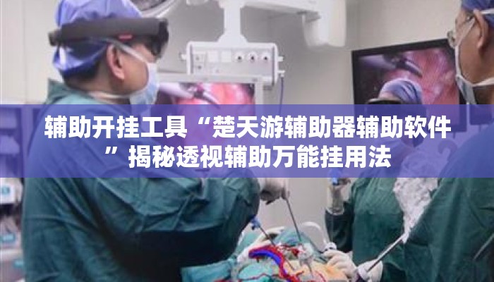 辅助开挂工具“楚天游辅助器辅助软件”揭秘透视辅助万能挂用法
