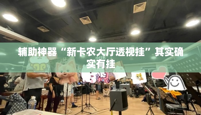 辅助神器“新卡农大厅透视挂	”其实确实有挂