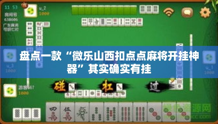 盘点一款“微乐山西扣点点麻将开挂神器	”其实确实有挂