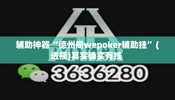 辅助神器“德州局wepoker辅助挂	”(透视)其实确实有挂 