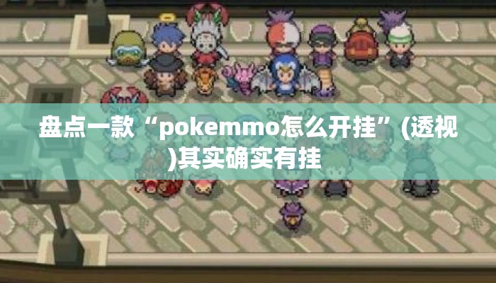 盘点一款“pokemmo怎么开挂”(透视)其实确实有挂 