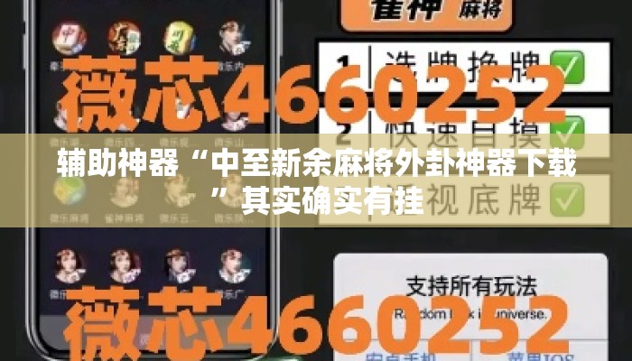 辅助神器“中至新余麻将外卦神器下载	”其实确实有挂