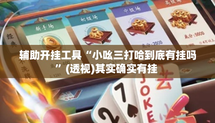 辅助开挂工具“小吆三打哈到底有挂吗”(透视)其实确实有挂 