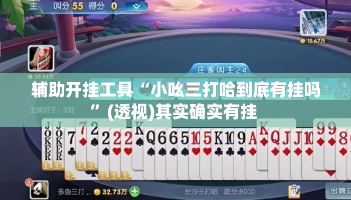 辅助开挂工具“小吆三打哈到底有挂吗”(透视)其实确实有挂 
