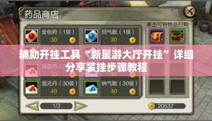辅助开挂工具“新星游大厅开挂”详细分享装挂步骤教程