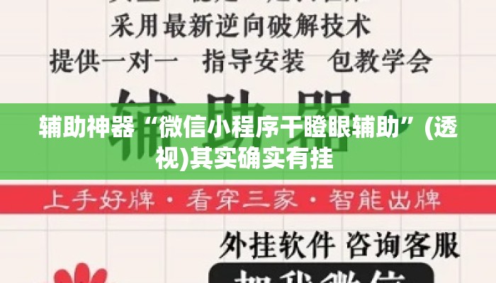 辅助神器“微信小程序干瞪眼辅助”(透视)其实确实有挂 