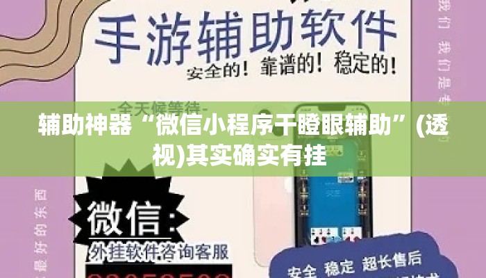 辅助神器“微信小程序干瞪眼辅助	”(透视)其实确实有挂 