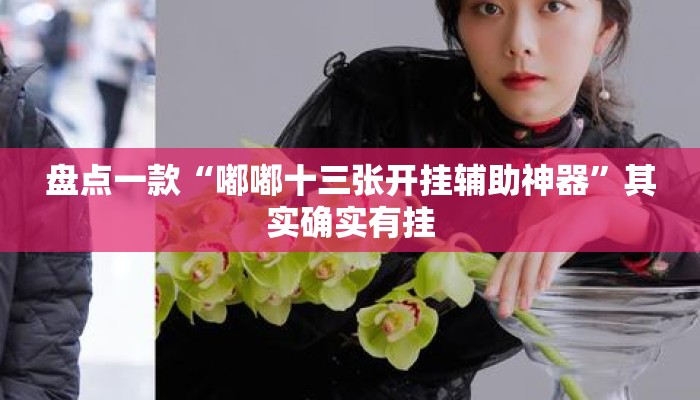 盘点一款“嘟嘟十三张开挂辅助神器	”其实确实有挂