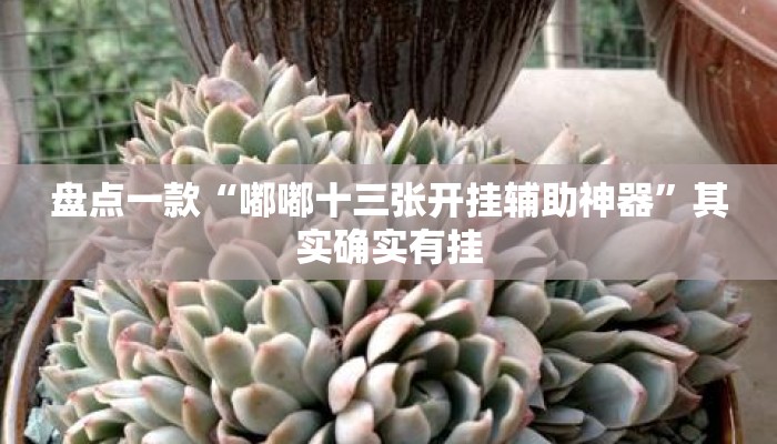 盘点一款“嘟嘟十三张开挂辅助神器”其实确实有挂