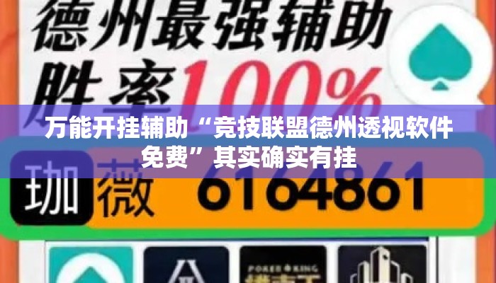 万能开挂辅助“竞技联盟德州透视软件免费	”其实确实有挂