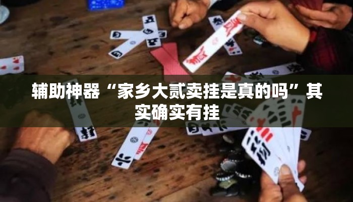 辅助神器“家乡大贰卖挂是真的吗”其实确实有挂