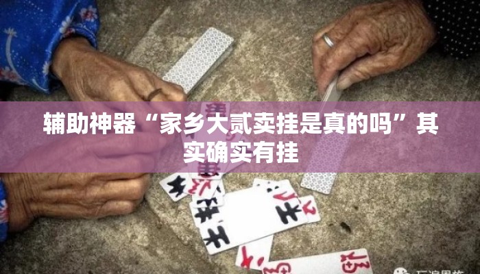 辅助神器“家乡大贰卖挂是真的吗”其实确实有挂
