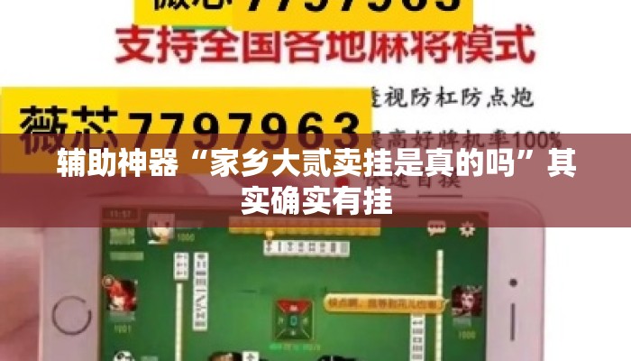 辅助神器“家乡大贰卖挂是真的吗	”其实确实有挂