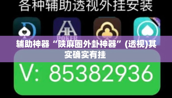 辅助神器“陕麻圈外卦神器”(透视)其实确实有挂 
