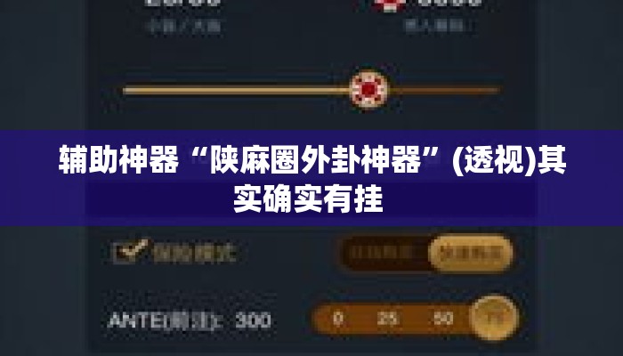 辅助神器“陕麻圈外卦神器	”(透视)其实确实有挂 