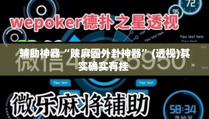 辅助神器“陕麻圈外卦神器”(透视)其实确实有挂 