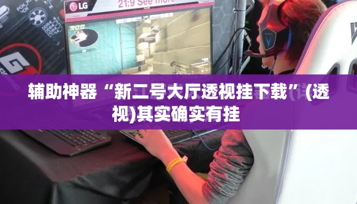 辅助神器“新二号大厅透视挂下载”(透视)其实确实有挂 