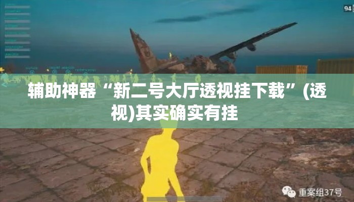 辅助神器“新二号大厅透视挂下载”(透视)其实确实有挂 