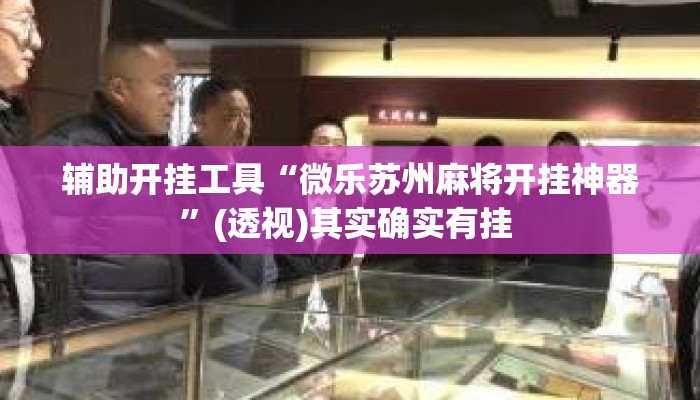 辅助开挂工具“微乐苏州麻将开挂神器”(透视)其实确实有挂 