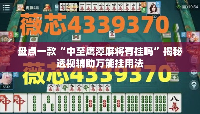 盘点一款“中至鹰潭麻将有挂吗”揭秘透视辅助万能挂用法