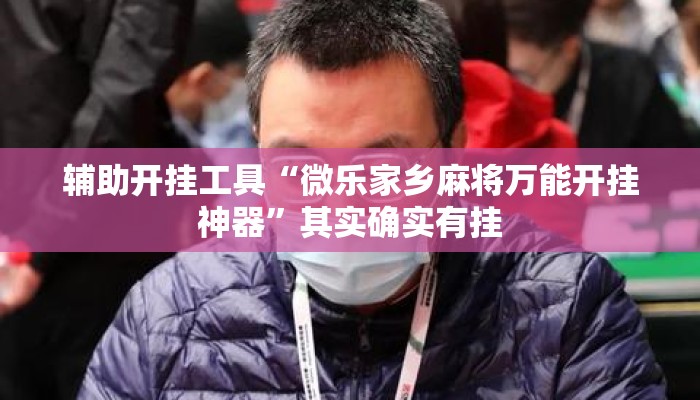 辅助开挂工具“微乐家乡麻将万能开挂神器”其实确实有挂