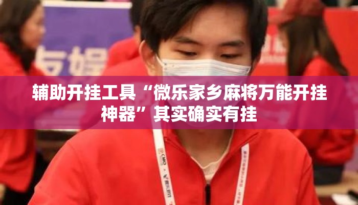 辅助开挂工具“微乐家乡麻将万能开挂神器	”其实确实有挂