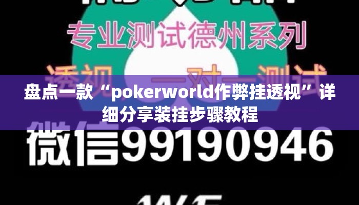 盘点一款“pokerworld作弊挂透视”详细分享装挂步骤教程