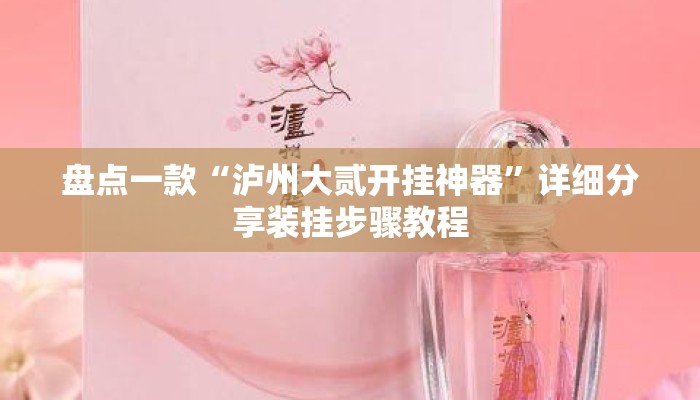 盘点一款“泸州大贰开挂神器”详细分享装挂步骤教程