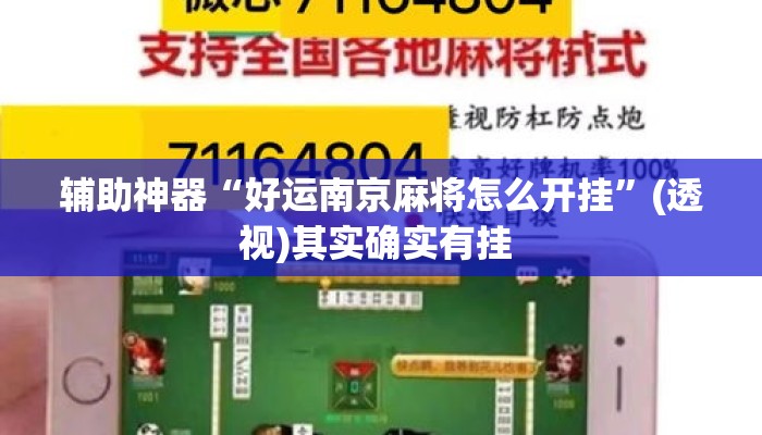 辅助神器“好运南京麻将怎么开挂	”(透视)其实确实有挂 