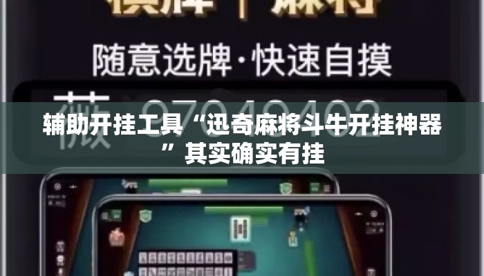 辅助开挂工具“迅奇麻将斗牛开挂神器”其实确实有挂