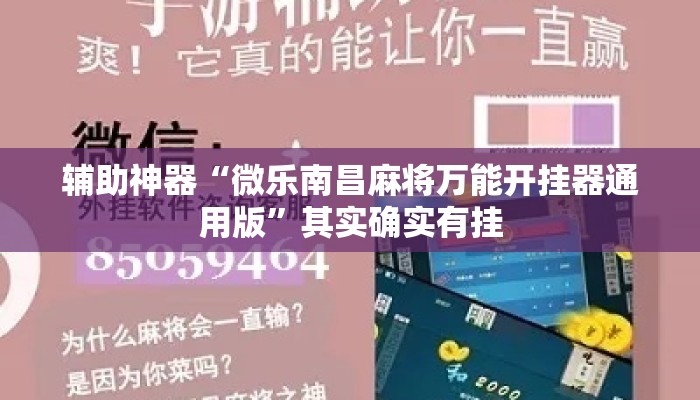辅助神器“微乐南昌麻将万能开挂器通用版”其实确实有挂