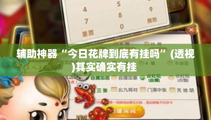 辅助神器“今日花牌到底有挂吗”(透视)其实确实有挂 