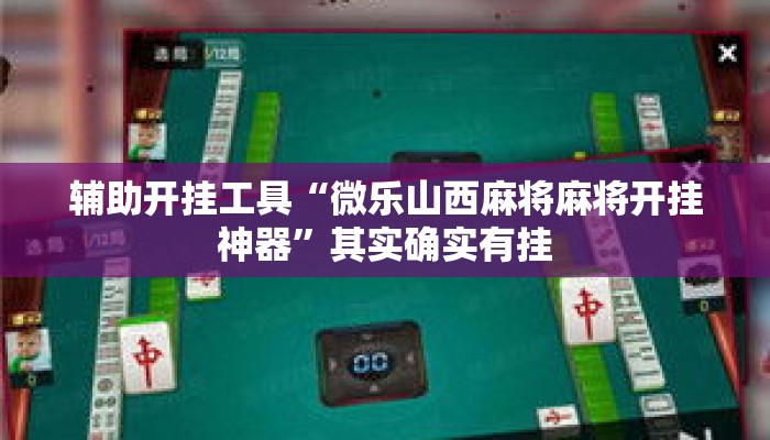 辅助开挂工具“微乐山西麻将麻将开挂神器”其实确实有挂