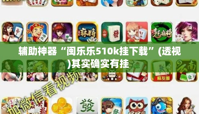 辅助神器“闽乐乐510k挂下载”(透视)其实确实有挂 