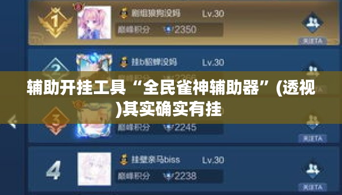 辅助开挂工具“全民雀神辅助器”(透视)其实确实有挂 