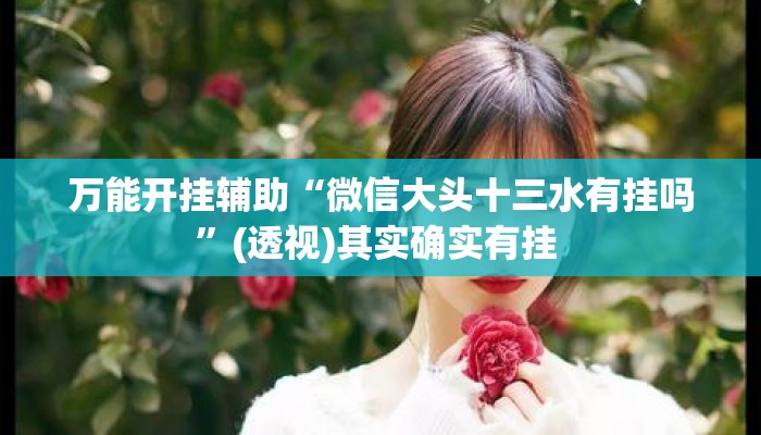 万能开挂辅助“微信大头十三水有挂吗”(透视)其实确实有挂 