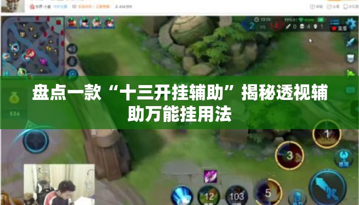 盘点一款“十三开挂辅助	”揭秘透视辅助万能挂用法