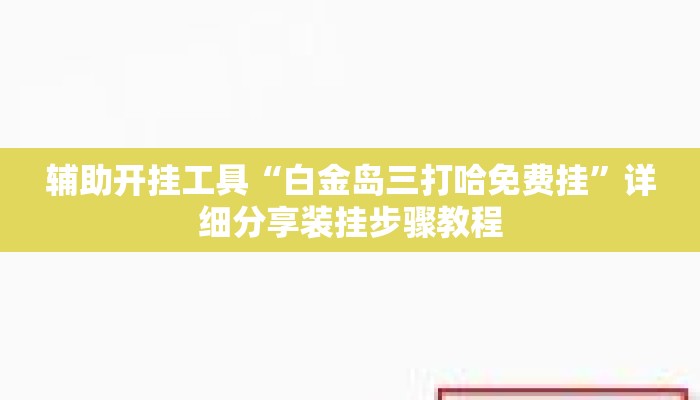 辅助开挂工具“白金岛三打哈免费挂	”详细分享装挂步骤教程