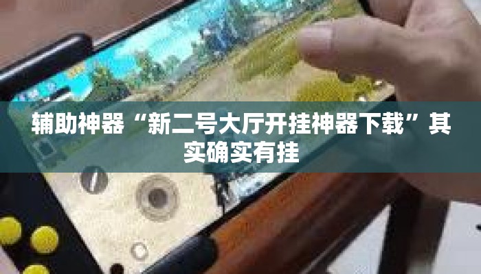 辅助神器“新二号大厅开挂神器下载	”其实确实有挂