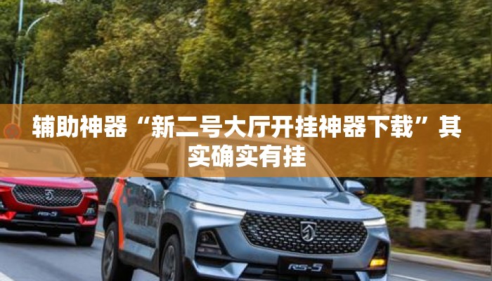 辅助神器“新二号大厅开挂神器下载”其实确实有挂