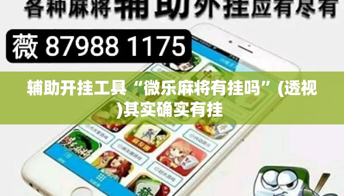 辅助开挂工具“微乐麻将有挂吗”(透视)其实确实有挂 